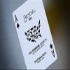 2 Decks the Humane Society Bicycle Playing Cards view 2