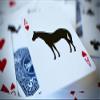 2 Decks the Humane Society Bicycle Playing Cards view 3