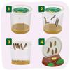 Insect Lore Giant Butterfly Garden with Voucher | 18 Inch Habitat | Life Cycle Figurines Included | Voucher to Redeem 5 Baby Caterpillars Later | Raise Painted Lady Butterflies view 3
