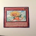 Yu-Gi-Oh! - Dandylion (DL18-EN005) - Duelist League 18 - Purple Title - Rare