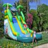 JumpOrange 12 Safari Commercial Grade Water Slide Inflatable with Splash Pool (with Blower), Kids and Adults, Wet Dry Use, Outdoor Indoor, Backyard, Summer Fun, Water Park, Tall Slide, Water Cannon view 3