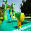 JumpOrange 12 Safari Commercial Grade Water Slide Inflatable with Splash Pool (with Blower), Kids and Adults, Wet Dry Use, Outdoor Indoor, Backyard, Summer Fun, Water Park, Tall Slide, Water Cannon view 4