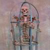 Iron Skeleton Cage w/Life-Size Aged Skeleton view 2