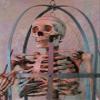 Iron Skeleton Cage w/Life-Size Aged Skeleton view 3