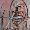 Iron Skeleton Cage w/Life-Size Aged Skeleton view 4