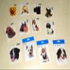carstyling XXL Sticker Boxer 135 x 110 mm view 2