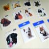 carstyling XXL Sticker Boxer 135 x 110 mm view 3