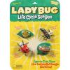 Life Cycle Stages -Ladybug view 1