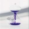 12 Pcs ( One Dozen) Colorful Office Thinking Mini Hand Boiler, Glass Science Energy Transfer, Children Science Experiment, Love Birds Color Meter Hand Boiler view 4