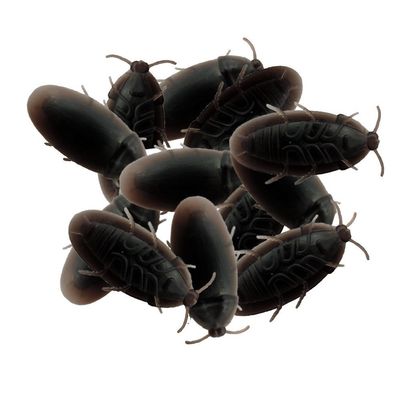 12 Realistic Rubber Fake Cockroaches - Trick Cockroach Bug Freeky Out Everyone