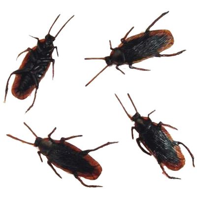 24 Bulk Lot of Realistic Rubber Fake Cockroaches - Trick Cockroach Bug Freeky Out Everyone