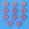 1948-1963 BENJAMIN FRANKLIN HALF DOLLAR No 9032:35 WHITMAN TRIFOLD COIN; ALBUM, BINDER, CARD, COLLECTION, FOLDER, HOLDER, PAGE, PORTFOLIO, PUBLICATION, SET, VOLUME #5 view 4