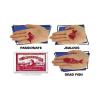 Loftus International 144 Fortune Teller Miracle Fish - Fortune Telling Fish Novelty Item view 4