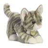 Aurora - Miyoni - 9" Grey Tabby Kitten view 1