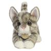 Aurora - Miyoni - 9" Grey Tabby Kitten view 2