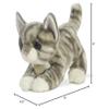 Aurora - Miyoni - 9" Grey Tabby Kitten view 3