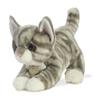 Aurora - Miyoni - 9" Grey Tabby Kitten view 4