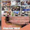 DVD "pandeiroburazireirosu" Vol. 5 [Japanese Subtitle] view 3