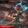 WizKids Dungeons & Dragons: Temple of Elemental Evil Adventure System Board Game - Standard Edition view 1