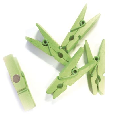8 x Mini Magnetic Green Trendy with Magnetic Coloured Wooden Crafts  Made in France