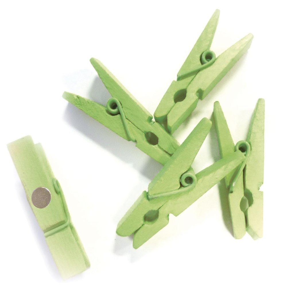 8 x Mini Magnetic Green Trendy with Magnetic Coloured Wooden Crafts  Made in France