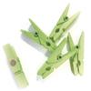 8 x Mini Magnetic Green Trendy with Magnetic Coloured Wooden Crafts  Made in France view 1