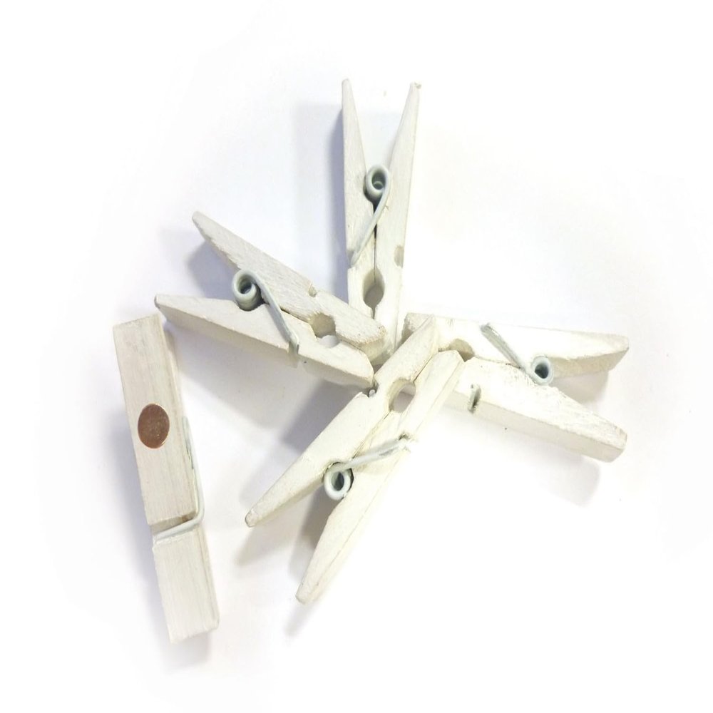 8 x Mini Magnetic White Trendy with Magnetic Coloured Wooden Crafts  Made in France