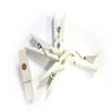 8 x Mini Magnetic White Trendy with Magnetic Coloured Wooden Crafts  Made in France view 1