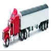 NewRay Kenworth 10773 Kenworth W900 Transp Grains view 1