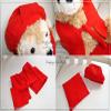 Duffy Shelly May Costume Puppet Duffy 60th Birthday Celebration! Red Chanko & Hat kanreki-p view 3