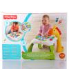 Fisher-Price Mattel CCP66 Animal Friends Activity Station view 3