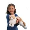 Douglas Kiki Ragdoll Cat Plush Stuffed Animal view 2