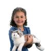 Douglas Smokey Gray Cat Plush Stuffed Animal view 2
