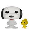 Peanuts - Snoopy & Woodstock view 2