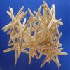 50 Pcs White Finger Pencil Starfish 2 1/2" - 3" view 1