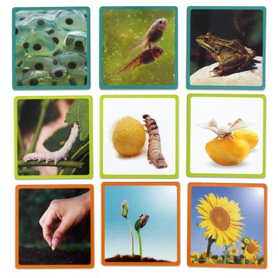 Akros Akros30641 Nature Maxi-Sequences Game