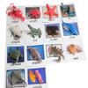 Curious Minds Busy Bags Montessori Animal Match - Miniature Ocean Animals with Matching Cards - 2 Part Cards. Montessori Learning Toy, Language Materials view 2