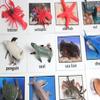 Curious Minds Busy Bags Montessori Animal Match - Miniature Ocean Animals with Matching Cards - 2 Part Cards. Montessori Learning Toy, Language Materials view 3