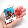 Curious Minds Busy Bags Montessori Animal Match - Miniature Ocean Animals with Matching Cards - 2 Part Cards. Montessori Learning Toy, Language Materials view 4