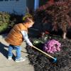 Emsco Group 1246 Little Diggers Child Safe Tool  Garden Kid Hoe view 2