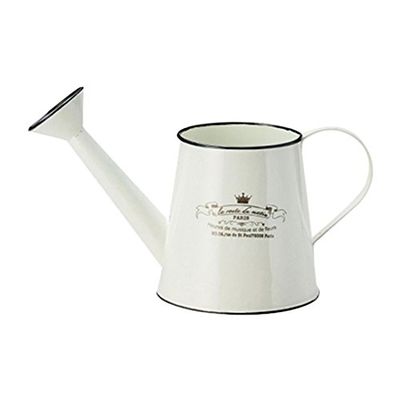 Velio Jardin Gioro, Ivory