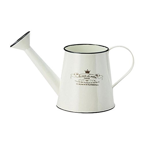 Velio Jardin Gioro, Ivory