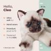 Bearington Cleo Siamese Cat Plush Toy - 15" Realistic Stuffed Cat with Soft Fur, Weighted Paws and Lifelike Details - Cuddly Soft Plushies for Girls, Kids, and Kitten Lovers - Gift for Play or Display view 2