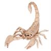 Crazy Bonez Skeleton Scorpion view 1
