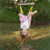 PELLOR Playground Children's Wooden Trapeze Swing Bar with Plastic Gym Rings Swing Set for Indoor & Outdoor Fun view 2