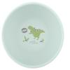 Stephen Joseph, Silicone Baby Bowls, Suction Bowl, Stay Put Suction Bowl, First Stage Self Feeding, Dino view 2