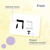 CARDDIA | Biblical Hebrew Alphabet Educational Flashcards | Includes Consonants, Vowels, Dagesh, and Final Forms view 2