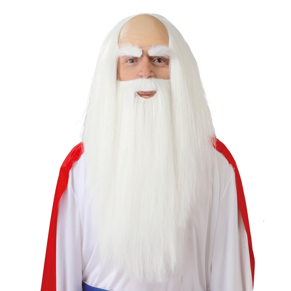 Guirca Fiestas GUI4879 Druids Wig & Beard (Box Container)