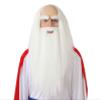 Guirca Fiestas GUI4879  Druids Wig & Beard (Box Container) view 1