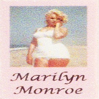 Dollhouse Miniature 1:12 Scale Marilyn Monroe Biography #Tin3092